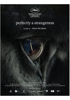 Perfectly a Strangeness [Une parfaite étrangeté]