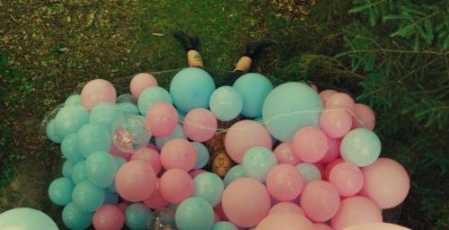 Gender Reveal